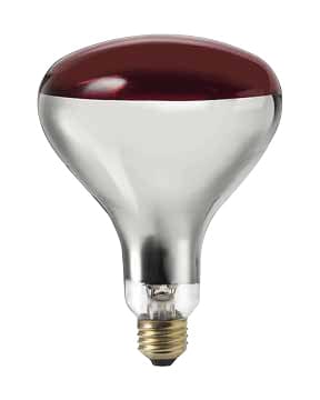 Ampoules - JN322 - Canarm - Ampoule infrarouge 250W