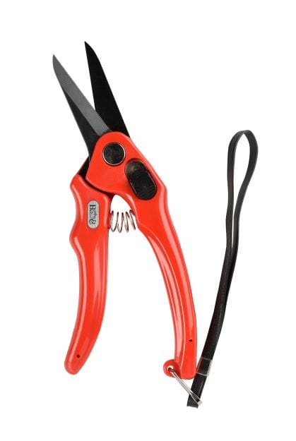 Soins des pattes / pieds - JN8292 - SMB - Coupe-sabot dentelé - ovin