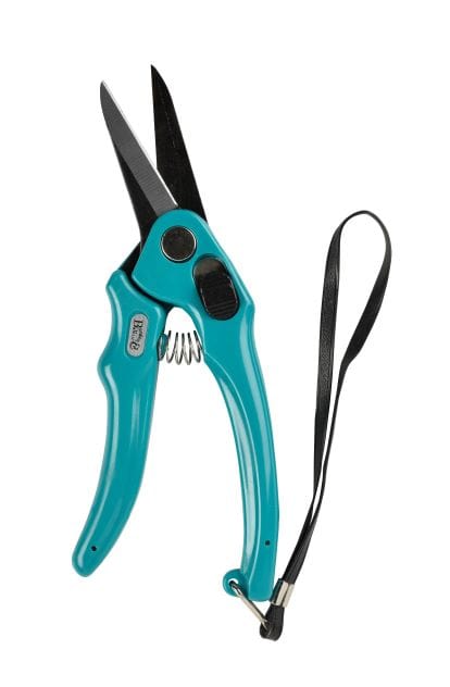 Soins des pattes / pieds - JN8293 - SMB - Coupe-sabot - ovin