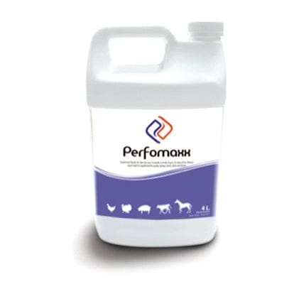 Suppléments - JN3713 - JNB1913 - Supplément De Vitamines Et Minéraux - Perfomaxx