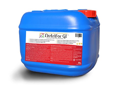 Suppléments - JN5179 - JNB1913 - Supplément De Vitamines - Nutrifor Gi