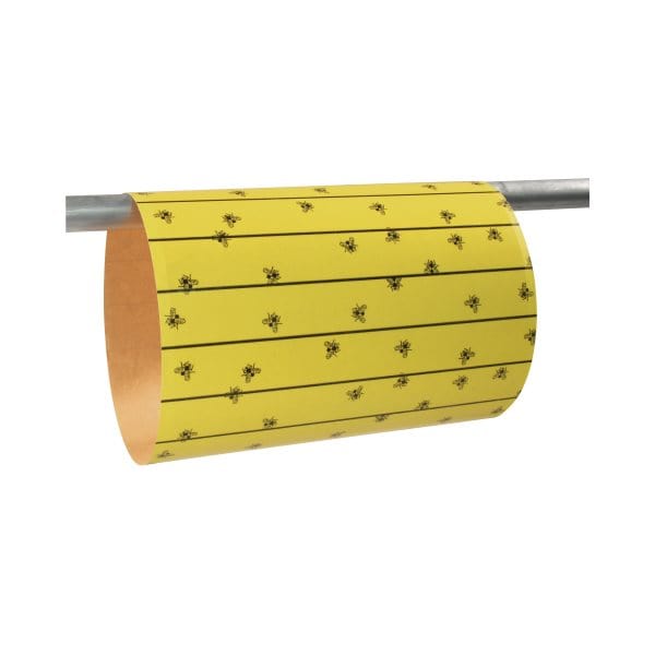 Pesticides et insecticides - JN5259 - JNB1913 - Feuilles Attrape-Mouches Flymaster - Paquet De 6