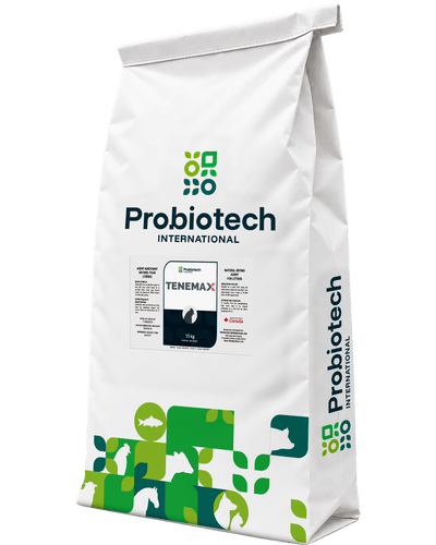 Asséchant - JN2431 - Probiotech - TENEMAX 15 KG