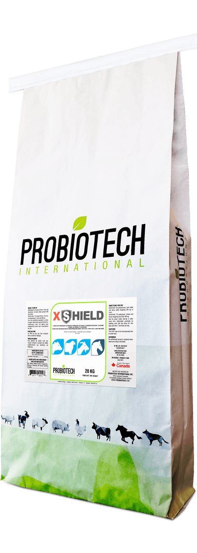 Suppléments - JN5413 - Probiotech - X-SHIELD 20KG
