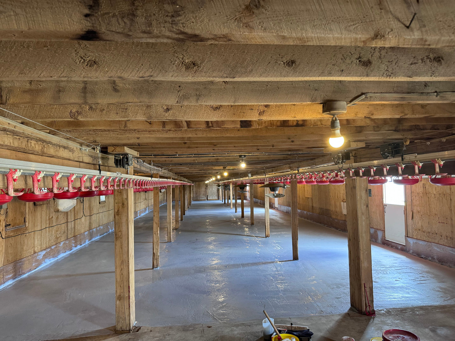 Epoxy - - TSTN - Revêtement élastomère Snakeseal