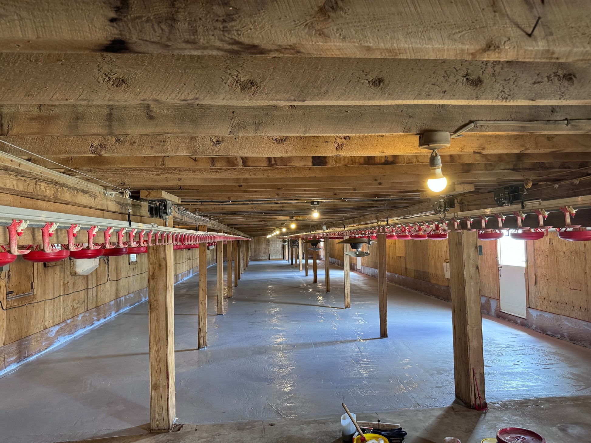 Epoxy - - TSTN - Revêtement élastomère Snakeseal