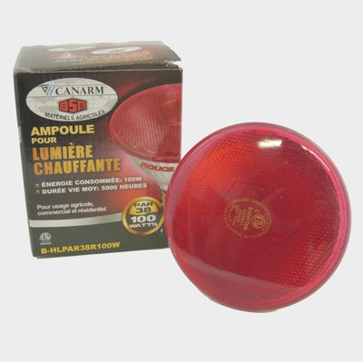 Ampoules - JN306 - Canarm - Ampoule 100 W - Canarm