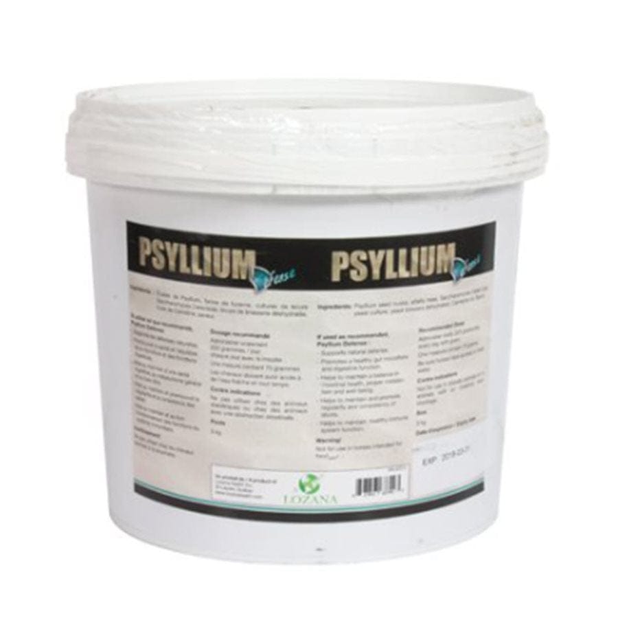 '- JN5433 - JNB1913 - Psyllium en granules 3Kg